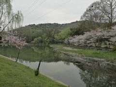 景点-蠡湖大桥公园