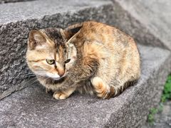-阿杰臻选海鲜饭店(普陀山店)
