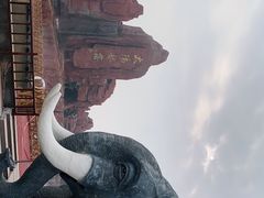 -太阳部落