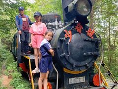 -五营红松林海景区