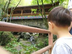 -藏龙百瀑风景区