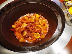 -挂雪铁锅炖大鹅