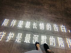 -映月湖中央公园
