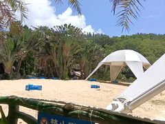 -广东惠东海龟国家级自然保护区