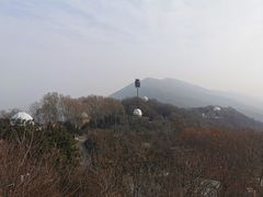 -紫金山天文台