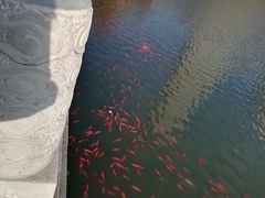 -迎泽公园