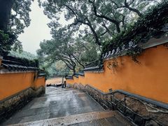 -普陀山风景名胜区-法雨禅寺