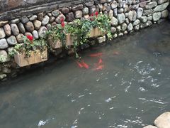 -前童古镇