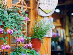 -都江堰景区