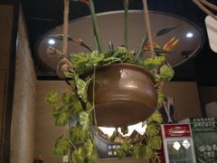 -云海肴·云南小炒·汽锅鸡(天津国金汇店)