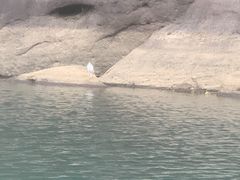 -九曲溪竹筏码头