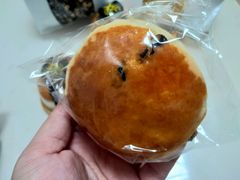黄金提子松饼（司康）-风车面包
