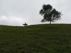 -北京灵山风景区