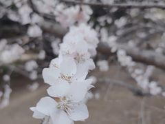 -朝阳公园