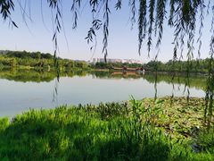 -洛龙公园