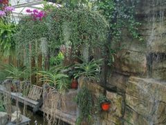 -兰陵国家农业公园