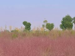 -汉长安城未央宫国家考古遗址公园