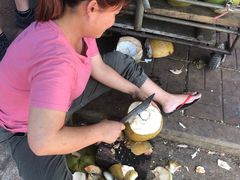 -东寨港红树林旅游区