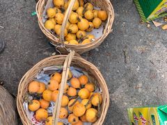 -塘栖枇杷特色园区