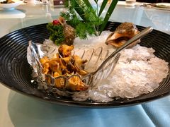 船夫大海螺-味茂·老船夫1927(东海东路店)