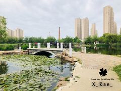 -前关湿地公园