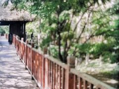 -北京麋鹿生态实验中心