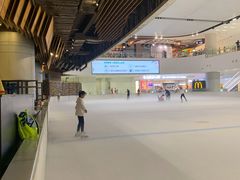 -TheRink大零溜冰场(IFS国金中心店)