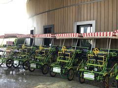 自行车租借-上海滴水湖皇冠假日酒店