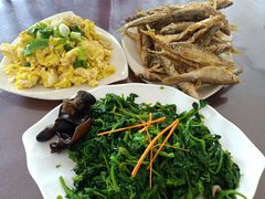 槐花鸡蛋-中原农家乐(中原饭店)