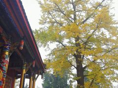 -金堂县云顶石城风景区