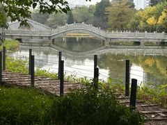 -映月湖公园