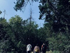-青龙山国家森林公园