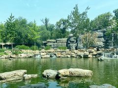 -北京野生动物园