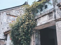 -青果巷历史文化街区