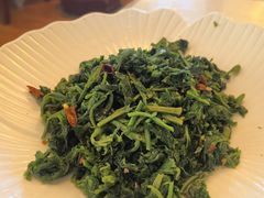 护肝桑叶苗-归元·云集斋素菜馆