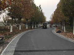 -水西公园