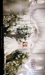 -琥珀婚礼策划AMBER WEDDING