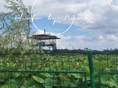 -九屋西岭生态度假景区