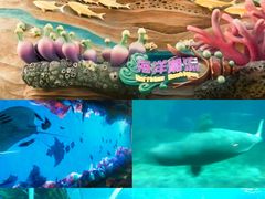 -珠海长隆海洋王国