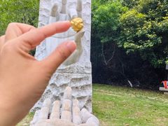 -遂昌金矿国家矿山公园