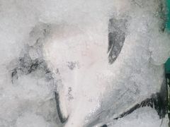 -中苑海韵