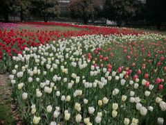 -上海鲜花港