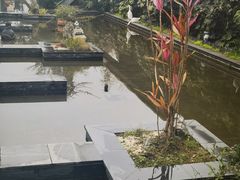 -老房子金沙元年川菜食府·花园餐厅(金沙店)