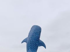 -珠海长隆海洋王国