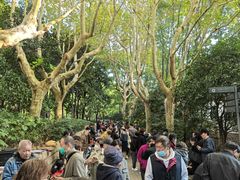 -人民公园-相亲角