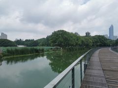 -月湖风景区