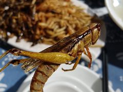 -嘉里饭庄