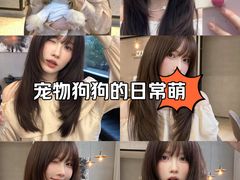 -石家庄万象城