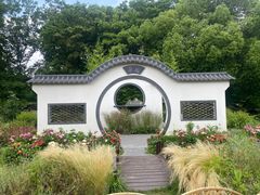 -上海共青森林公园