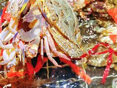 -海玥荟海鲜姿造自助餐厅(欧罗巴广场店)